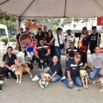 Parque Forestal acoge feria de adopción de animales rescatados