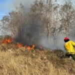 Emergencias forestales en Guayaquil se incrementan en 46%